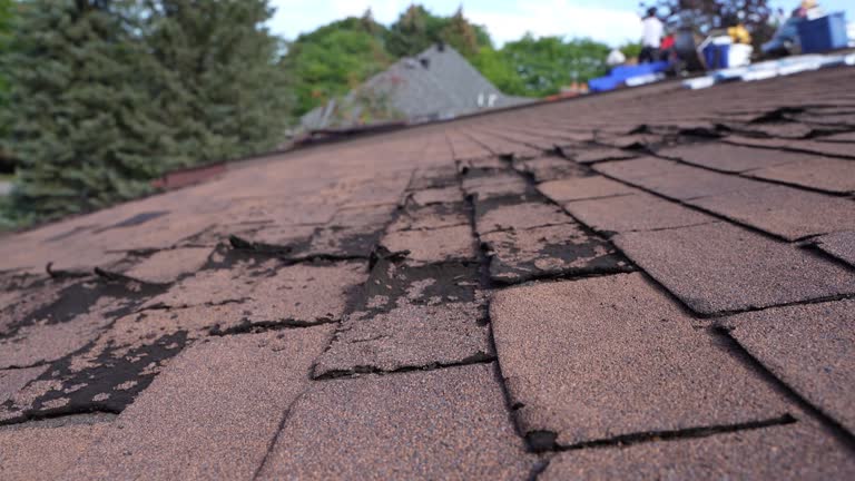 Best Roof Leak Repair  in Las Maravillas, NM